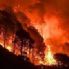 Contrasto degli incendi boschivi e altre misure urgenti di protezione civile - Emendamento 1.3